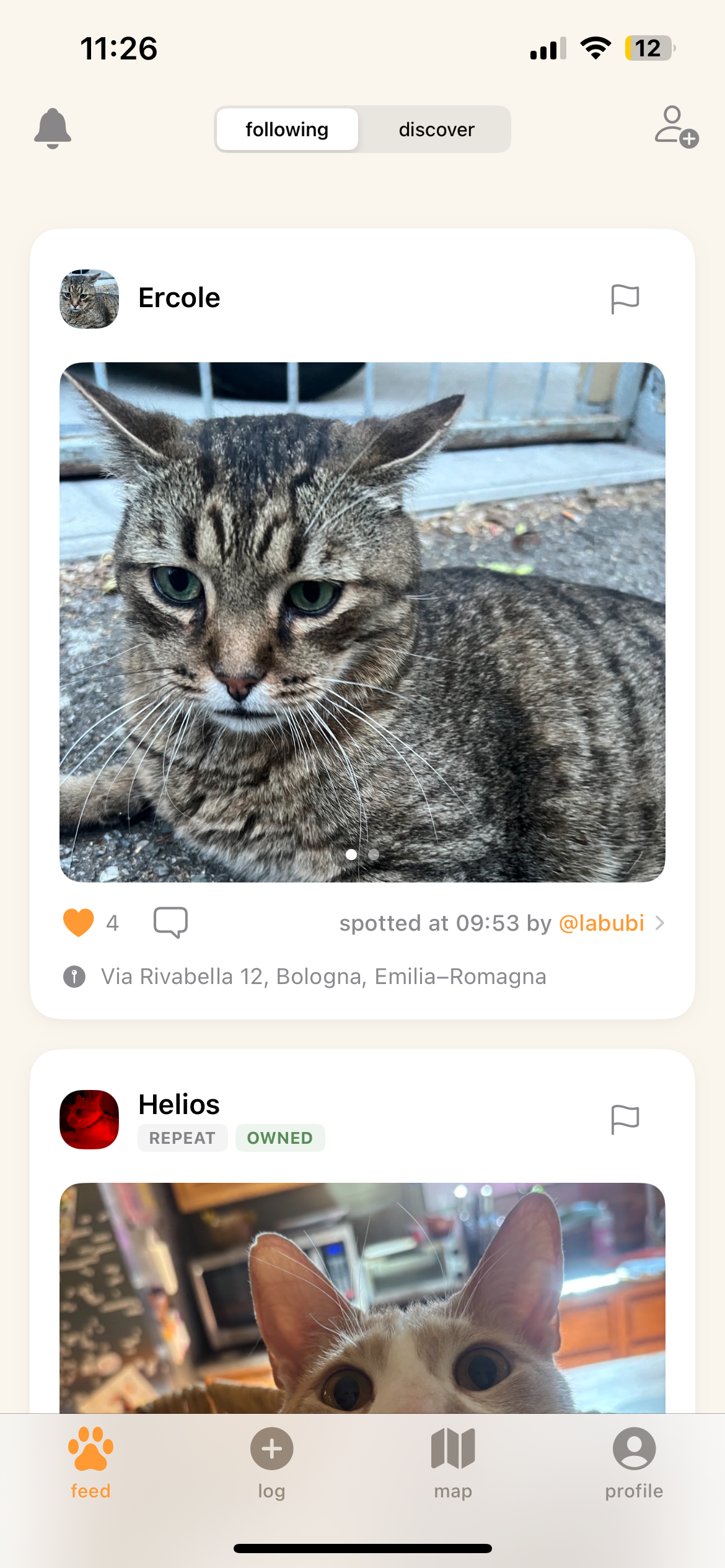 feed screen