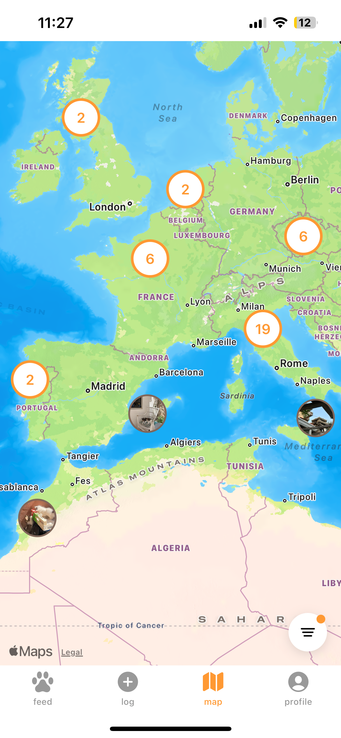 cat map screen