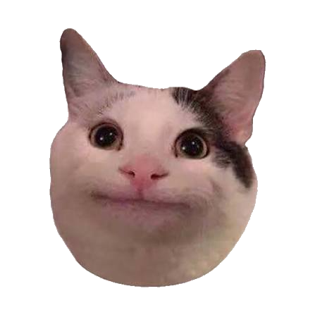 silly cat sticker