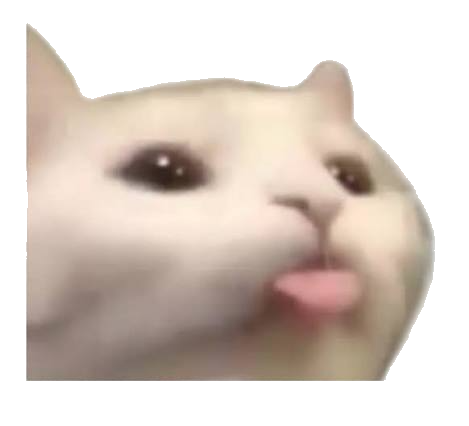silly cat sticker