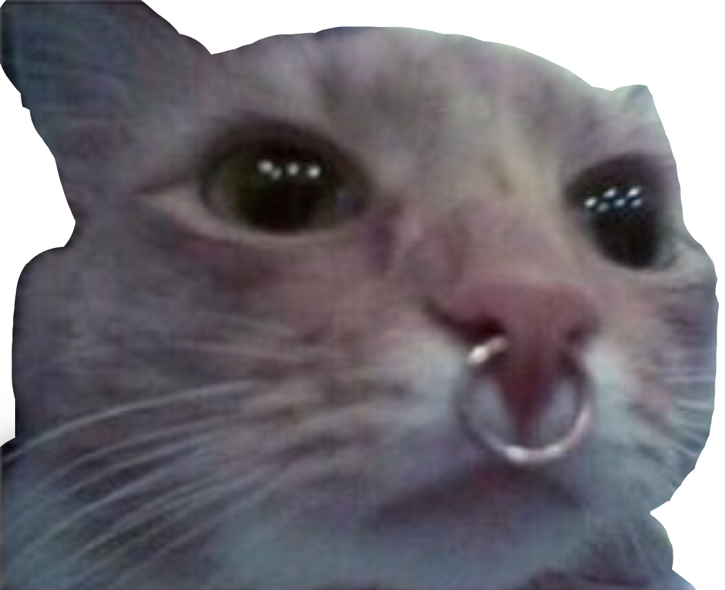 silly cat sticker